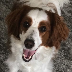 Meet your Posher, Leyla